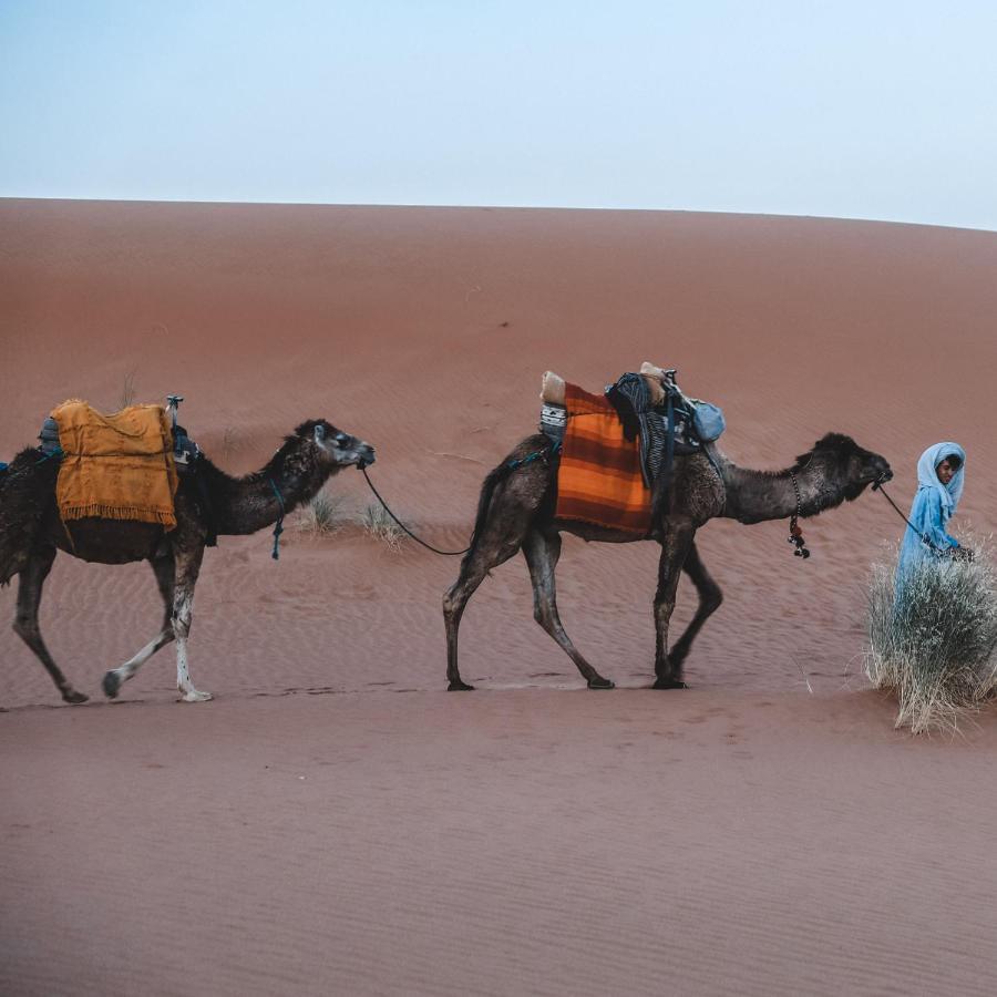 Camel Luxury Camp Bed & Breakfast Merzouga Exterior foto