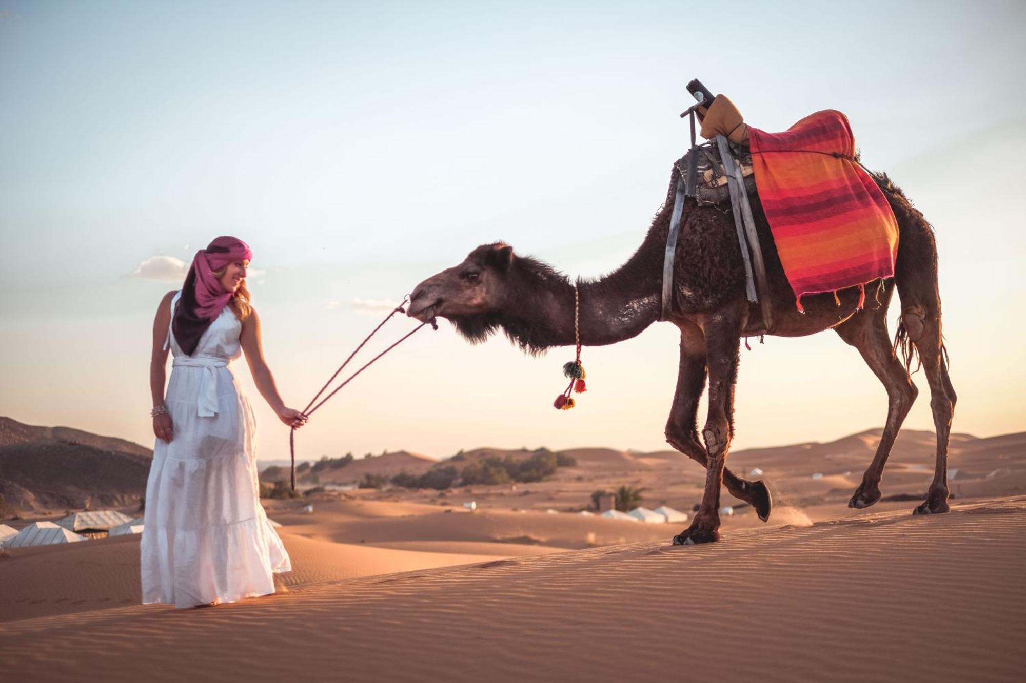 Camel Luxury Camp Bed & Breakfast Merzouga Exterior foto
